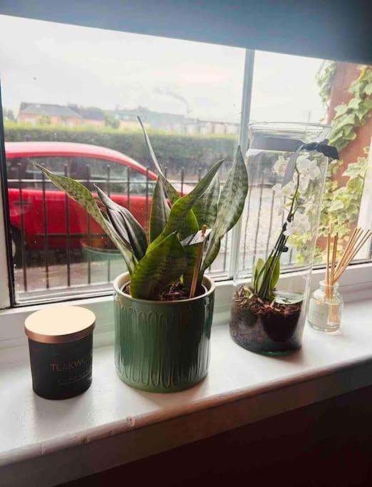 Large 2 Bedroom, Ground Floor Flat, Close To Appartement *